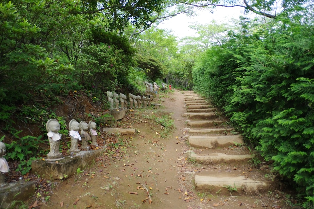 SEO для новичков: пошаговое руководство по оптимизации сайта в 2025